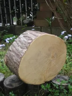 山桜 丸太 輪切り 切り株 薪割り台 生木 素材 DIY - メルカリ