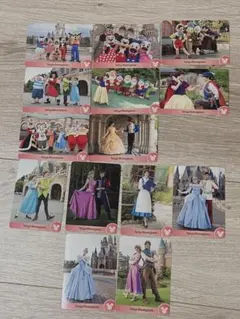 東京ディズニーランド フォトカード 14枚セット