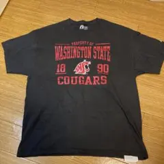 XL/古着　半袖Tシャツ　ビンテージ　ダメＴ　Russell