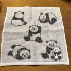 Item thumbnail for item 7583ceb0-458b-40fb-bfaa-88792f53dca0