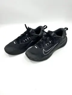 Item thumbnail for item edf6160a-919f-4c41-af1a-da30e0b35868