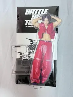 武知海青 アクリルスタンド