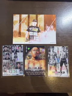 専用RIZINラジャブアリ・シェイドゥラエフ ライコレリアルカード