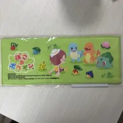 新品　ぽこあポケモン　ロングハンドタオル