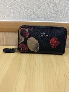 Item thumbnail for item 55160570-1390-49c3-8bec-cda6e9e5b2cc