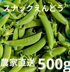 新鮮 ニムラ スナップえんどう 野菜 豆 - メルカリ 新鮮 ニムラスナップえんどう野菜豆