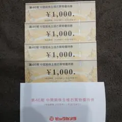 ビックカメラ 株主優待券 4000円分 (1000円×4枚)
