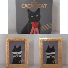 カカオキャット　CACAOCAT　猫缶　黒猫　DADACA　小物入れ　3個セットのサムネイル