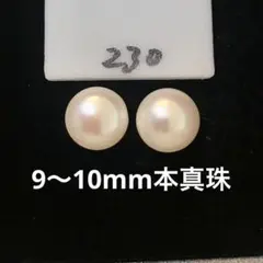 淡水パールピアス シンプル 本真珠