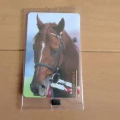 まねき馬 レギュラーカード J-199 カネヒキリ 未開封
