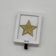 【美品】⭐️Christian Dior ノベルティ ピンバッジ