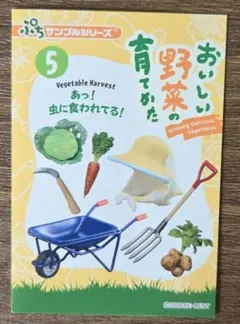 リーメント　ミニチュア　おいしい野菜の育てかた