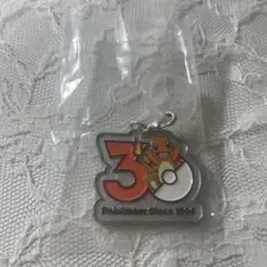 ポケモン めじるしアクセサリー ヒトカゲ