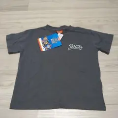 Item thumbnail for item 37146b4b-067f-4d4f-a379-9c2343160831