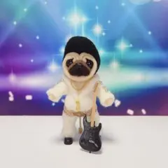 オーダー受付中❤️羊毛フェルト　ロッケンパグちゃん②