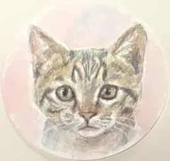猫 ねこ　水彩画 原画