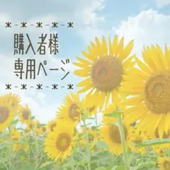 しゅうちゃん様専用