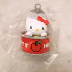 【即購入可】サンリオキャラクターズ　カンキャラ　ハローキティ