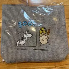 pionunnalピオヌンナル　BACH PEANUTS スヌーピーライトグレー