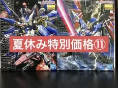 MG ガンプラ ガンダムダブルエックス ゼータプラス 2種セット - メルカリ