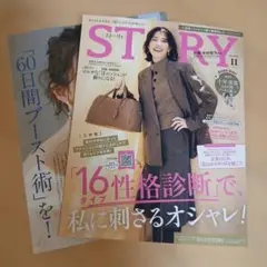 STORY 11号