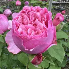 uni♡様 リクエスト 4点 まとめ商品