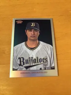 Item thumbnail for item 4b39956e-6285-4934-a27a-4eb3cee8eb8c