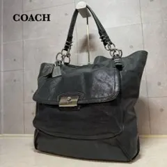 日本未発売 美品 COACH コーチ クリスティン ピナクル F19385