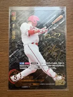 2026年最新】SSP ドリームオーダーの人気アイテム - メルカリ