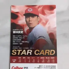 広島東洋カープ　栗林選手、矢野選手、森下選手、モンテロ選手、菊池選手、床田選手