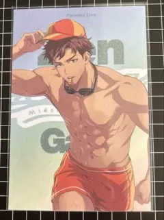【早い者勝ち】 パラライ 真夏の幻影 ポスカ 善