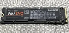 Samsung 960 EVO NVMe 250GB 健康100% 67時間のサムネイル
