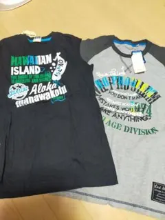 Hawaiian Island Tシャツ 2枚セット 150