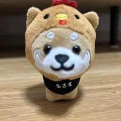 旅するマメしば　ご当地　豆柴　愛知　名古屋