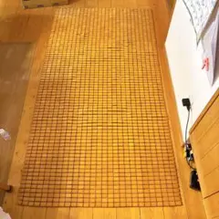 Item thumbnail for item a06dd9c7-75f8-42d9-9d23-9b596020ff69