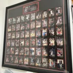 家庭教師ヒットマンREBORN! 天野明展 全巻ピンズセット 家庭教師ヒットマンREBORN! 天野明展 全巻ピンズセット 綱吉 雲雀 獄寺