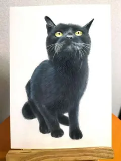 猫の絵　painterTMK真筆　 猫油絵　動物の絵　動物画　油絵絵画　モフモフ 猫の絵 painterTMK真筆 猫油絵 動物の絵 動物画 油絵絵画 モフモフ