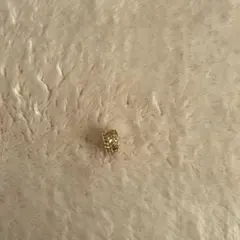 ゴールド イヤーカフ シンプル