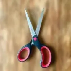 家庭用はさみ 黒と赤のハンドル