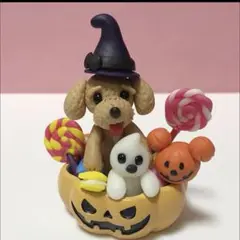 専用