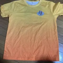 Item thumbnail for item 30d99580-a17c-4d17-8ca7-c20925b3db4c