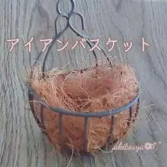 グレージュ色のアイアンバスケット ❤ ココヤシファイバー付き植物 ハンギング