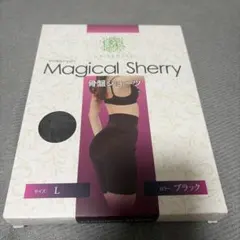 Magical Sherry 骨盤ショーツ ブラック Lサイズのサムネイル