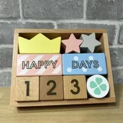 エド・インターミルキートイ　メモリービスケット　マンスリーフォト　100日祝い