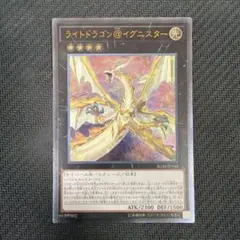 2026年最新】ライトドラゴン＠イグニスターの人気アイテム - メルカリ