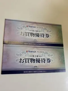ヤマダ電機株主優待 お買物優待券 10000円分