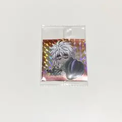 HUNTER×HUNTER にふぉるめーしょん 9 シークレット