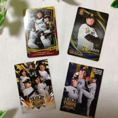 阪神タイガース 球場限定カード 4点セットのサムネイル