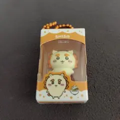 ちいかわ シーサー チョコボックス