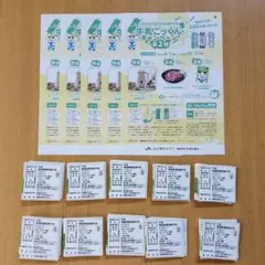 牛乳ごっくんキャンペーン 第2弾 応募券100枚 応募用紙5枚セット